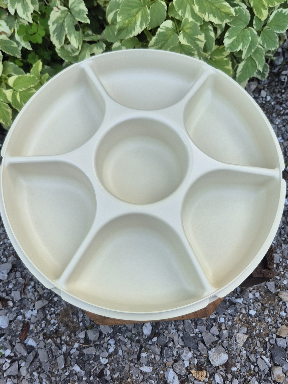 Vintage Tupperware Almond Divided Veggie Tray & Lid Only #1665 #1666 Canada